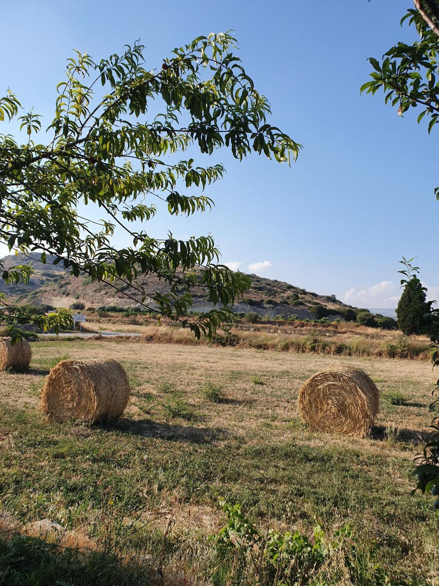 Vina Oliva Resort Pissouri Eksteriør billede